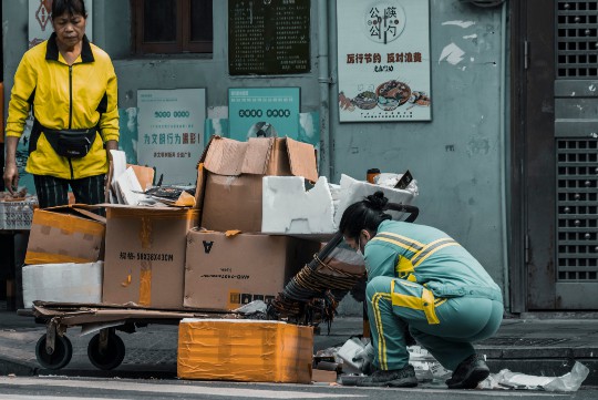 高考选科指南，生物与地理，哪个更适合你？